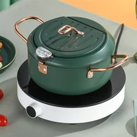 Marmite à frire jetable avec contrôle de température, outils de cuisson, acier inoxydable vert, thermomètre, tempura, poêle, cuisine 2