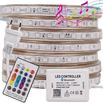 

Music RGB LED Strip Light 220V AC Remote Control 5050 SMD 60LEDs/m Waterproof IP67 Flexible LED Tape Outdoor Home Decoration