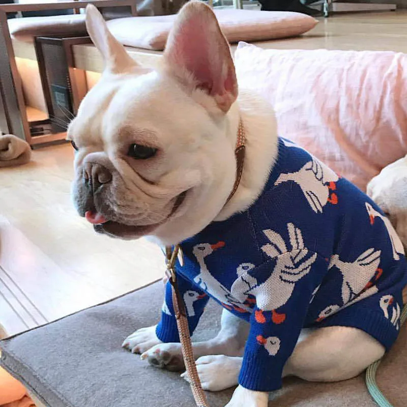 SUPREPET свитер для собаки для французского бульдога корейский стиль утка узор свитера для домашних собак для собак зимняя одежда для собак для чихуахуа - Цвет: Синий