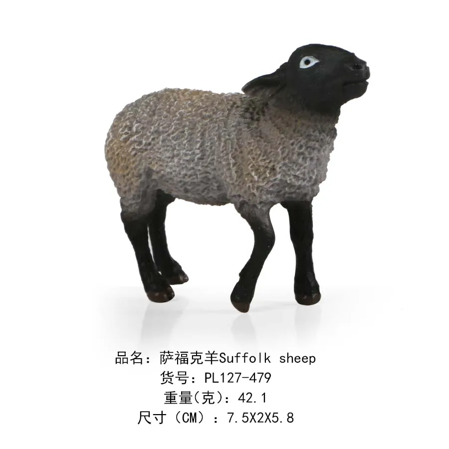 萨福克羊Suffolk sheep-479