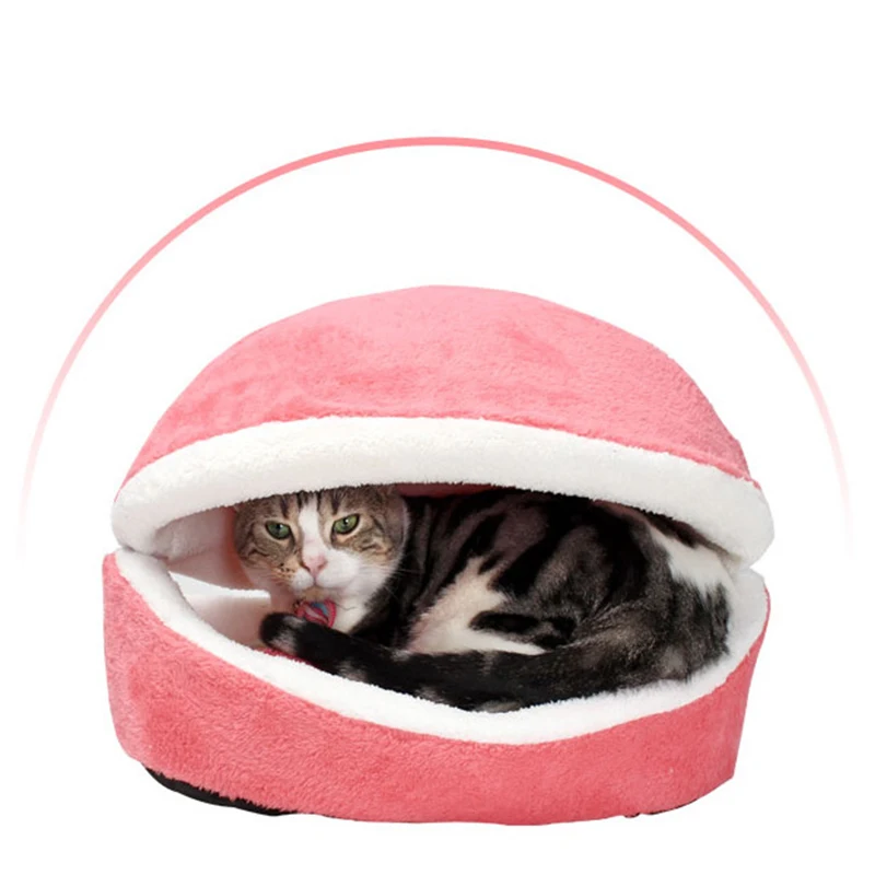 Clam cat