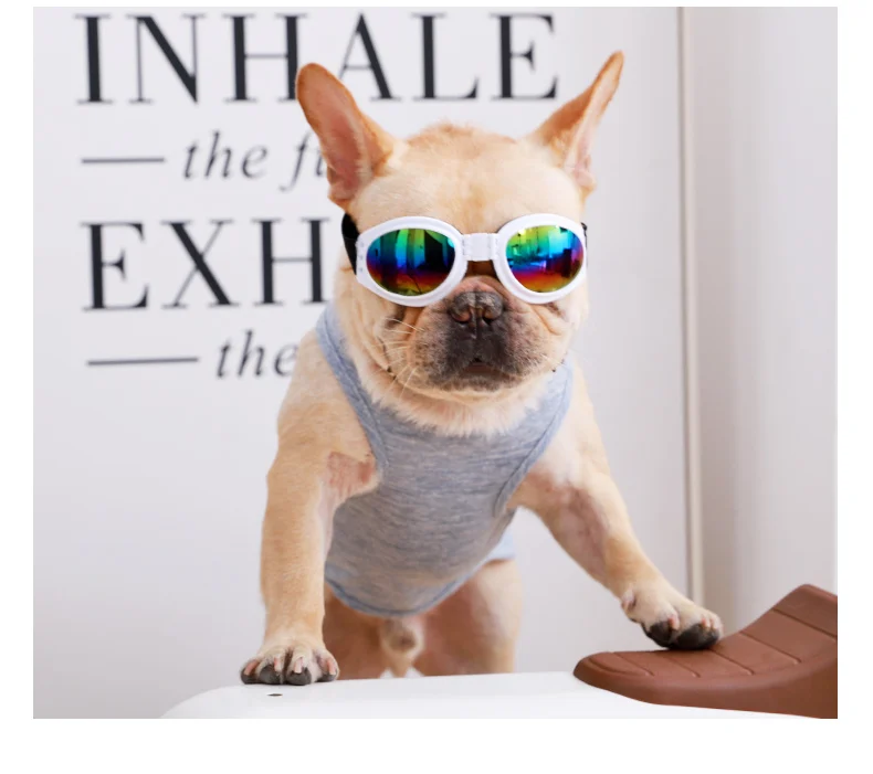 Hoopet Pet Французский бульдог регулируемые очки для средних и больших собак Солнцезащитные очки водонепроницаемые защитные очки для собак