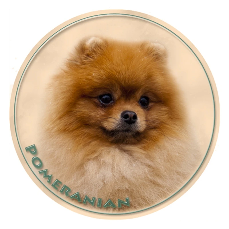 

S40338# Various Sizes PVC Decal Pomeranian Dog Car Sticker Waterproof For Bumper Rear Window Laptop Refrigerator Toilet
