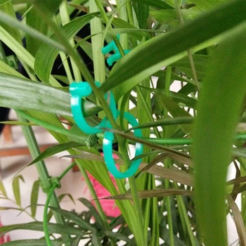 

100pcs Plant Clips Outdoor Tomatoes Cucumbers Agricultural Vine Support Twine Clamp Farm Greenhouse Binder Garden Tools Fruit
