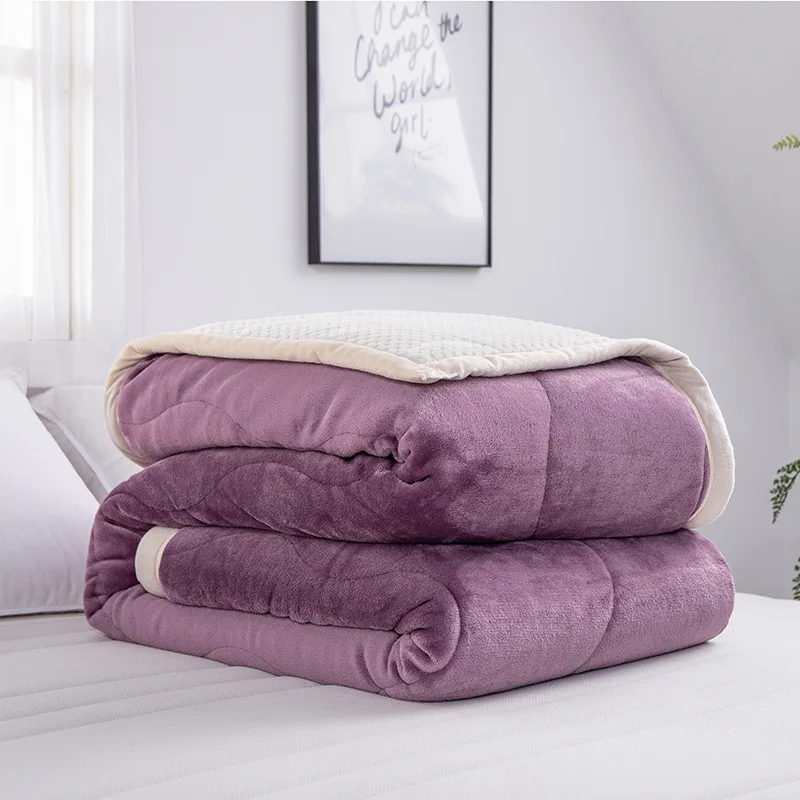 Двухслойное одеяло утолщенное теплое покрывало для Кровати Покрывало для кровати Коралловое флисовое Покрывало Диван Манта искусственная шерсть ТВ одеяло s - Цвет: purple