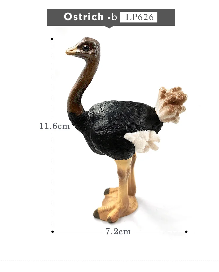 详情页-2款-鸵鸟_06