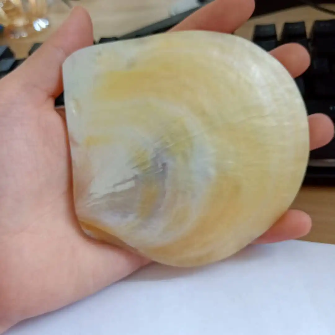 He9681a3126f2401cbaf44a283147ae04d.jpg?width=1080&height=1080&hash=2160