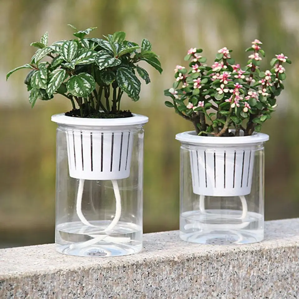 YUMILI Pot d'arrosage Auto-Absorbant - Jardinière à Absorption d'eau Pot de  Fleurs à Absorption d'eau d'intérieur pour Bureau, Maison,  Semi-Transparent/Noir/Blanc(Le Noir) 