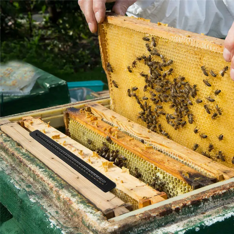 20x Plastic Bee Hive Beetle Beehive Beetle Trap Case Cover Beekeeping Equipment 
