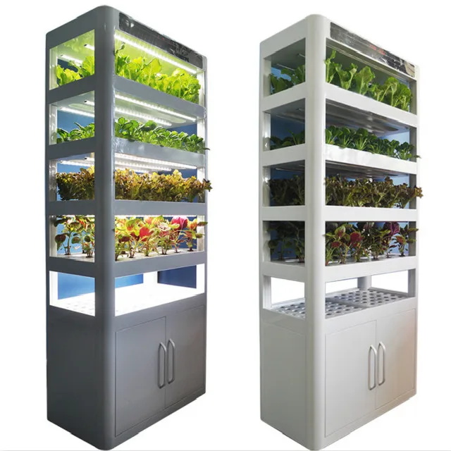 Greenhouse hydroponics growing systems for home growing fruits, vegetables, leafy greens, and flowers , fIsh
