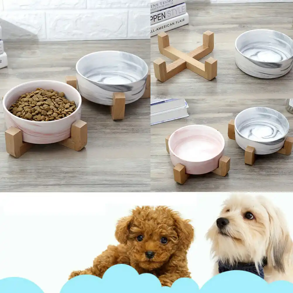 pet tech bowls