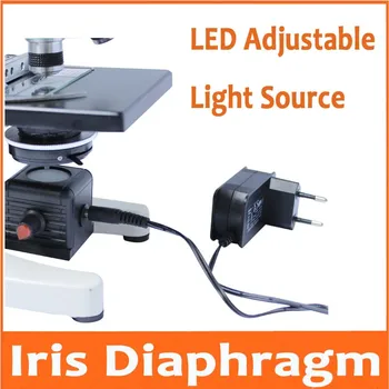 

New Model LED Microscope Bottom Light Source Lamp for Professional Microscopes Parts