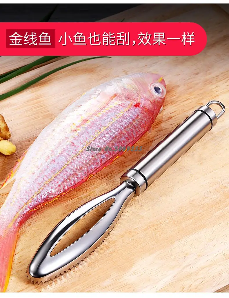 https://ae01.alicdn.com/kf/He97dd6834fa4477886e417433962b6dfa/New-Stainless-Steel-Prong-Harpoon-Fishing-Fork-Fish-Spear-K-Sheath-Holder-Gripper-Fish-Clamp-Multifunctional.jpg