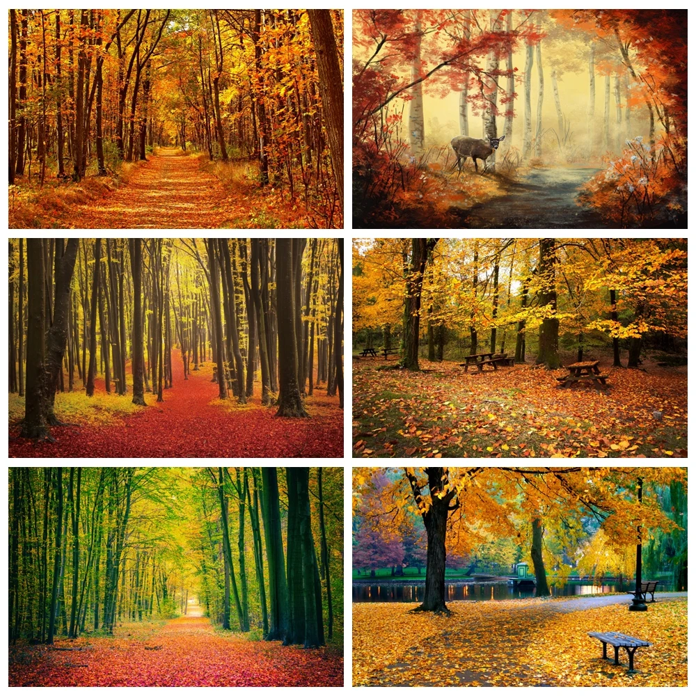 

Yeele Autumn Scenery Backgrounds For Photography Forest Trail Leaf Hotographic Studio Photo Background Birthday Decorations Prop