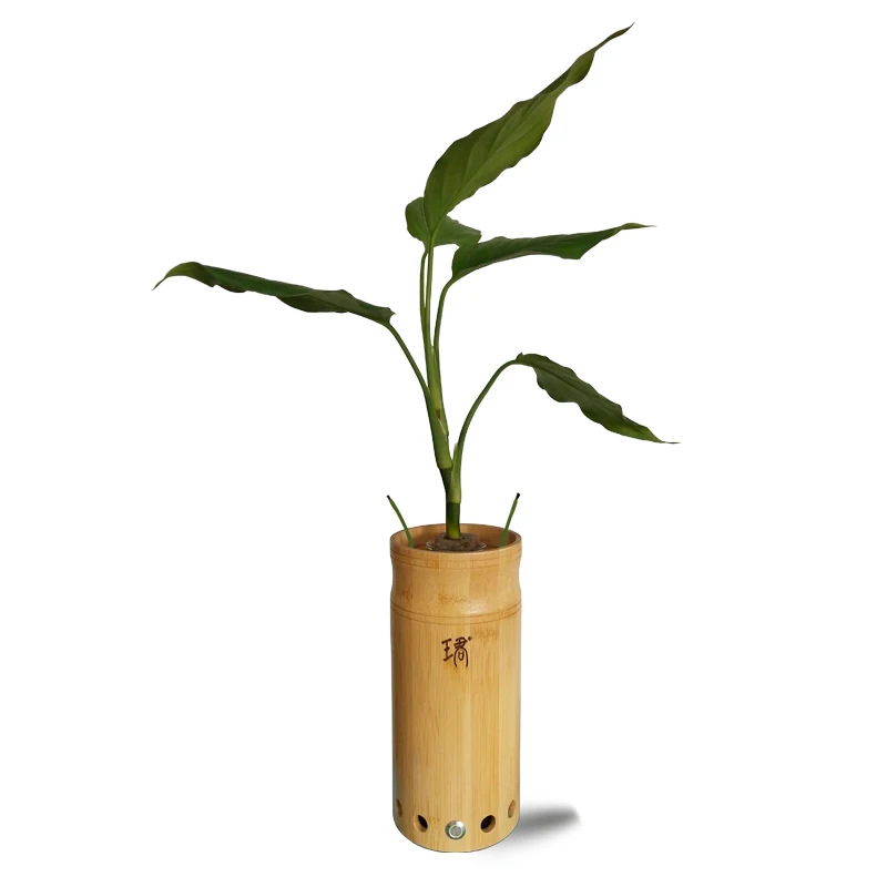 

Green Plant Cultivation Office Home Air Purifier with Bluetooth audio