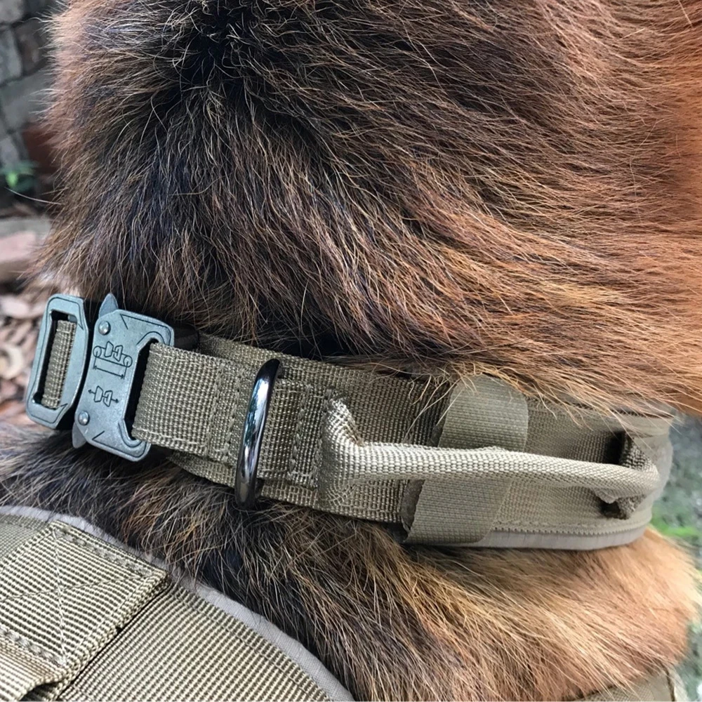 Military Dog Adjustable Collar - Image 3