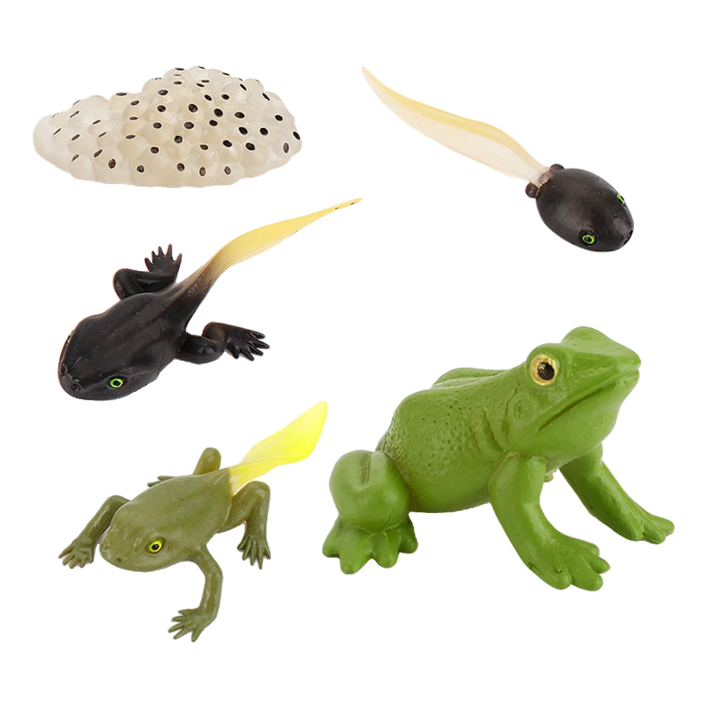 Early Kids Toddlers Simulation Animals Growth Cycle Toy Pretend Play Animal Growth Cycle Teaching Aids Early Educational Toy