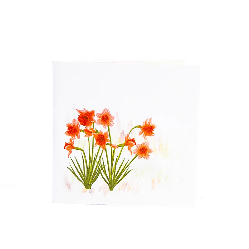 4275660284_1940134607