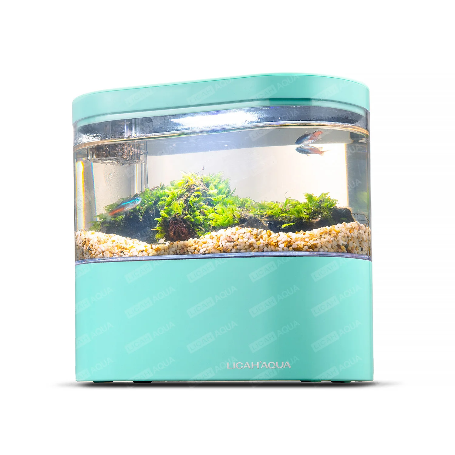 Mini USB Desktop Aquarium W Built-in Pump Petcare Turtles And Fish color: black|Canal blue|Pink|White