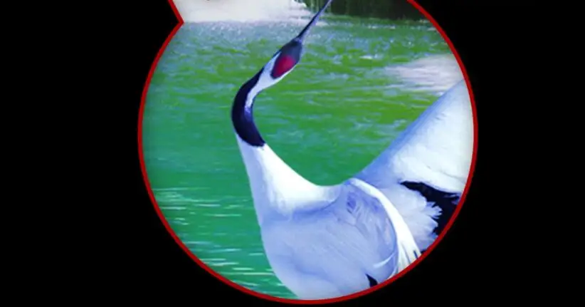 QQ截图20200903145638