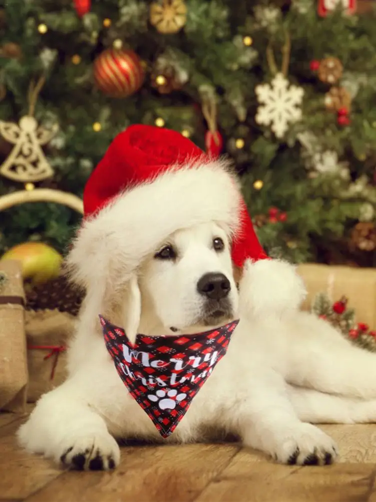 Ошейник для питомца собаки, Регулируемый шарф, ошейники для питомца, треугольные нагрудники-шарфы, шейный платок, аксессуары для питомцев на день рождения, легко чистить