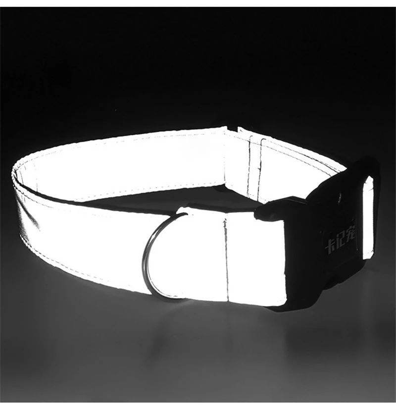 Personalized Collar (10)