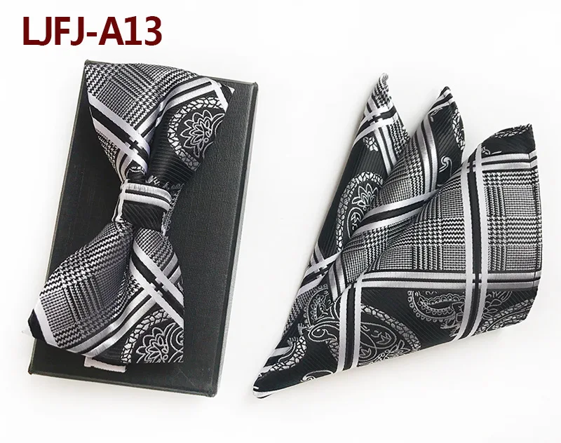 LJFJ-A13