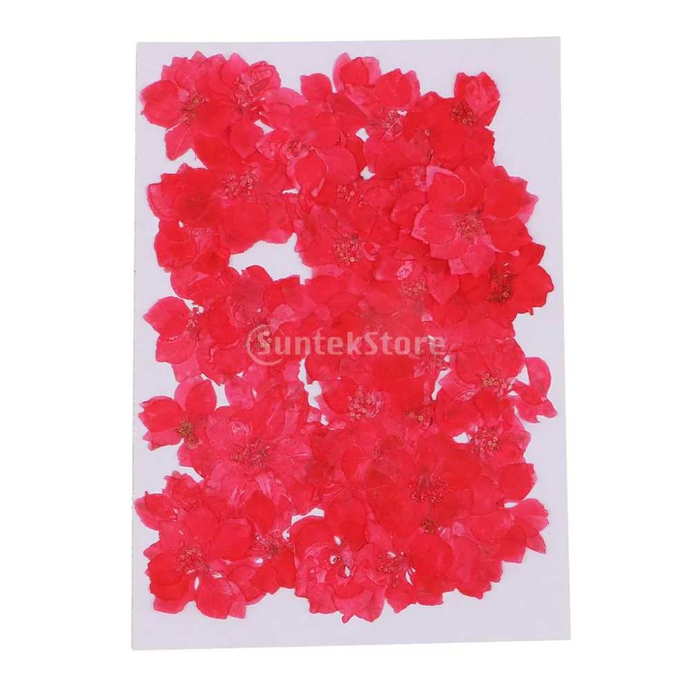 suntekstore1532399176_image