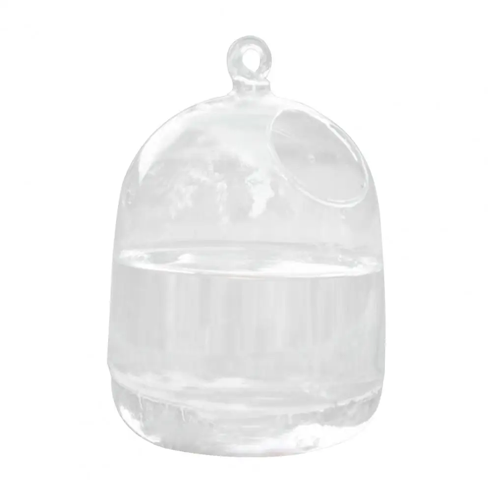 Fish Aquarium, Durable Hanging Glass Vase for Living Room