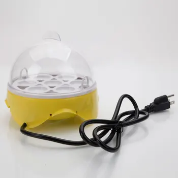 

7-Egg Mini Practical Poultry Electric Incubator (US Standard) Yellow BJStore