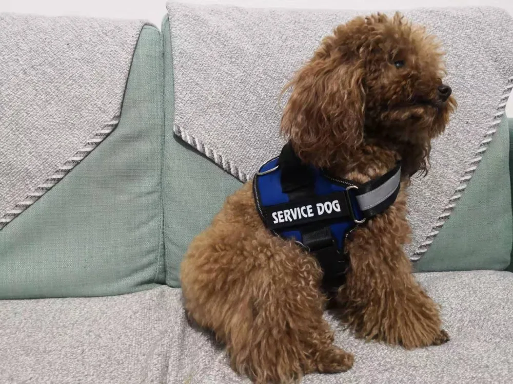 8008583099834241第三张