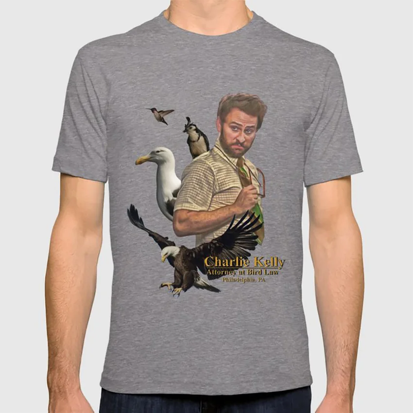 Charlie Kelly: attort at Bird Law-Always Sunny-Fan Art футболка always sunny bird law comedy wall art Цвет птиц