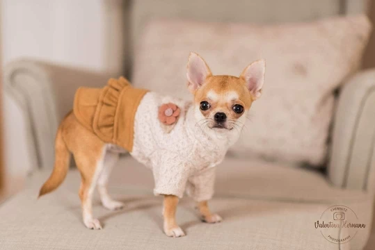 U16c85765036a47f3ad296b4ba76404a0S