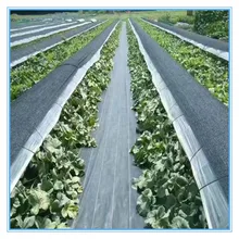 [Manufacturers Direct Selling] O.5m-6 M Wide Garden Weeding Cloth Black And White with Pattern Gardening Cloth Weed Barrier Clot