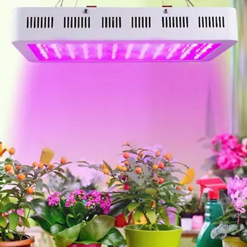 

Full Spectrum 1200W LED Grow Light Growing Lamps for All Indoor Plants Flowers 40JE