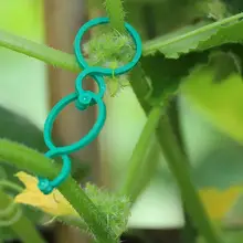 Aliexpress - 50/100pcs Rattan Clip Gardening 8-shaped Buckle Ring Plant Flower Plant Ring Tomato Gourd Support Stem Upright Growing Tool U9F9