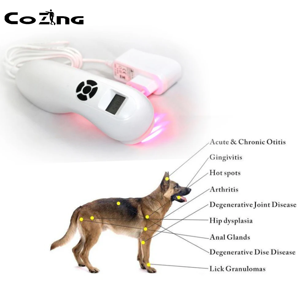 New Veterinary Dog and Horse Cat Animals Pain Relief LLLT Therapy Device For 808nm infrared Laser Safety Cold Laser