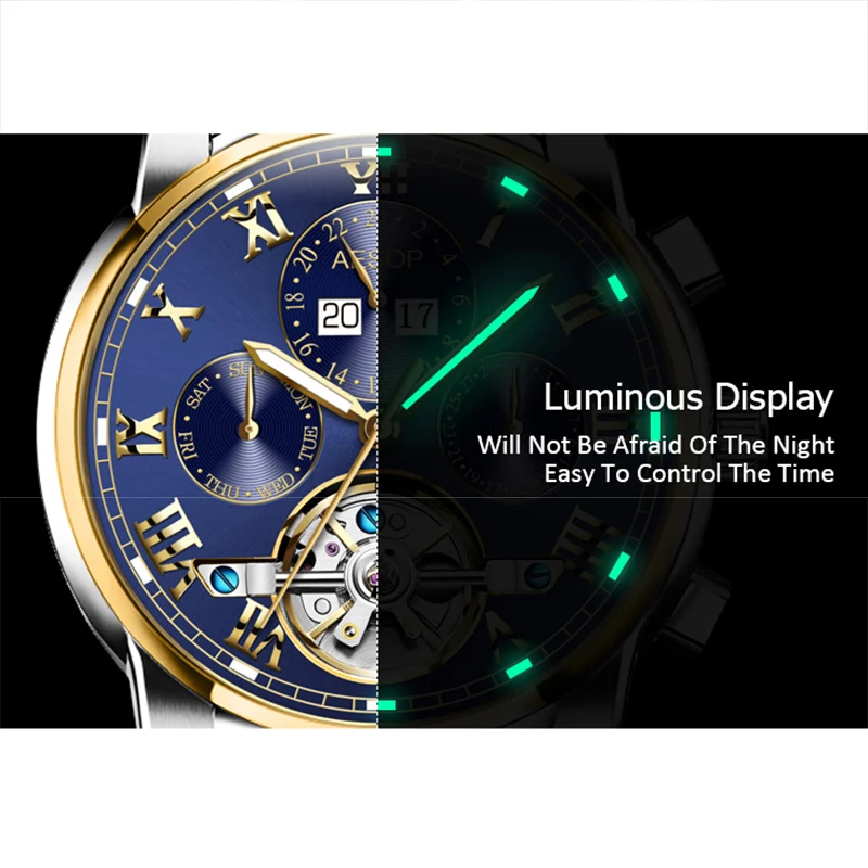 AESOP автоматические турбийон часы для мужчин наручные Скелет механические часы нержавеющая сталь мужские часы Relogio Masculino