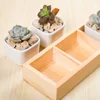 Flower Pot Wooden Tray Multi Grid Wooden Flower Pot Bonsai Planter Box Desktop Storage Holder Organizer ► Photo 2/6