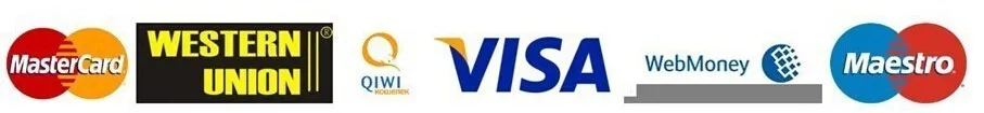logo payment