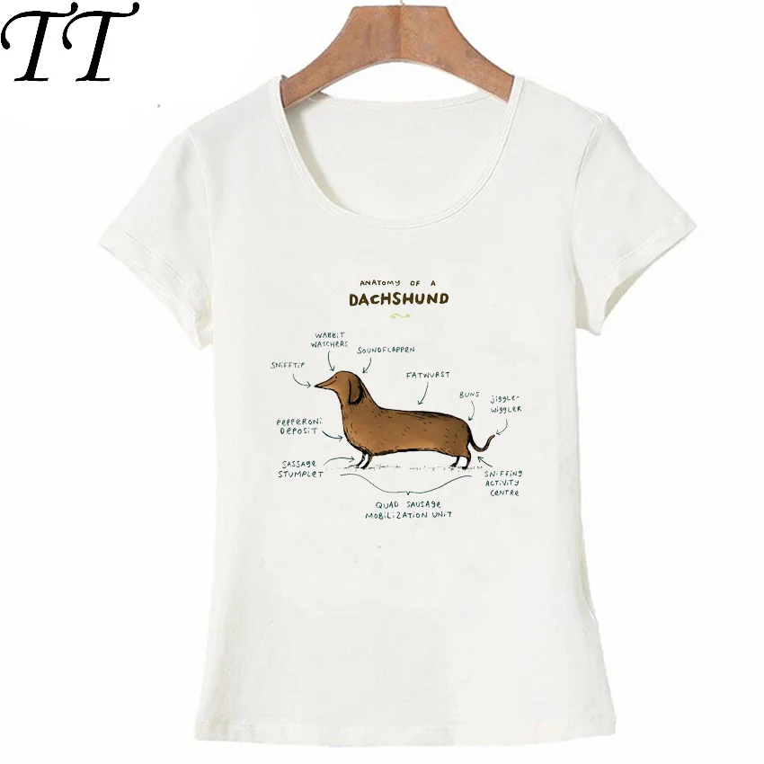 UTB8ta6xhSbIXKJkSaefq6yasXXaM