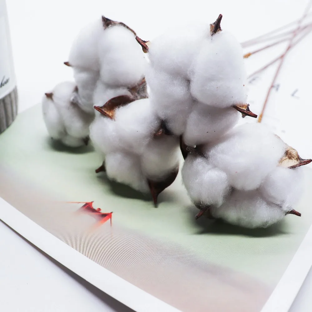 5Pcs-Artificial-Flower-Kapok-Cotton-Head-for-Wedding-Christmas-Home-Decoration-DIY-Craft-Wreath-Scrapbook-Natural(4)