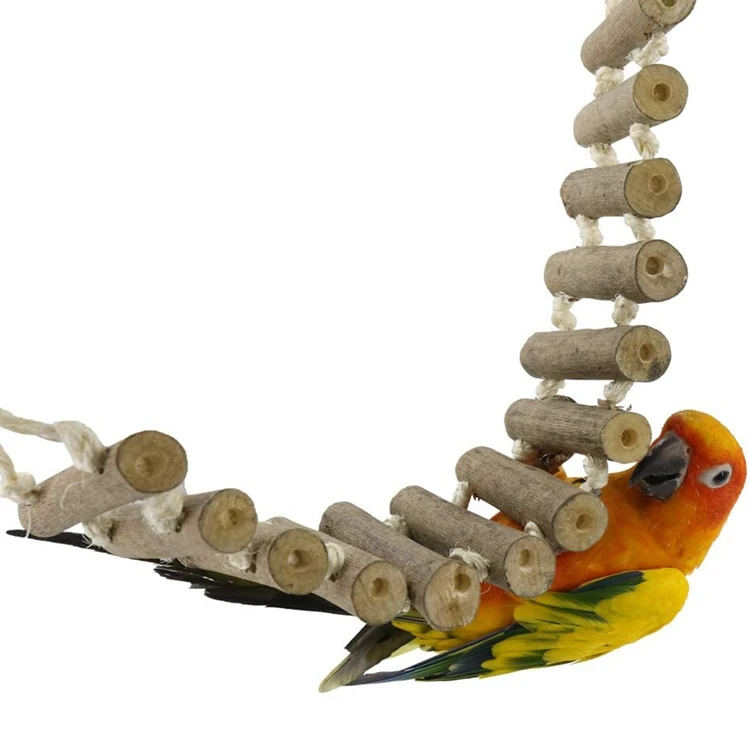 1 - 61kOIE4UMGL._AC_SL1000_