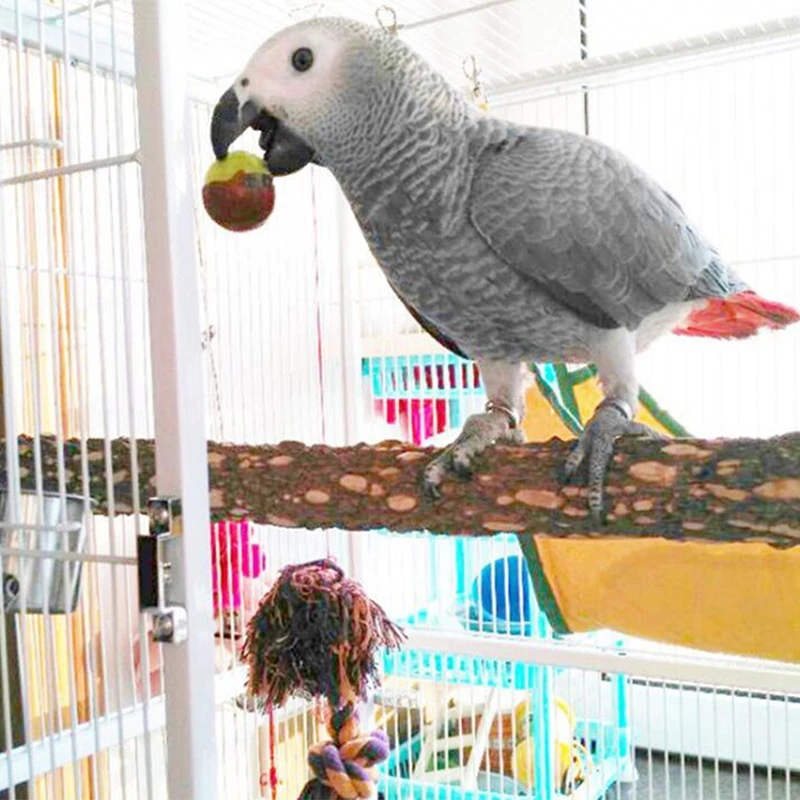 Прекрасный питомец попугай птица Cockatiel Parakeet натуральные игрушки деревянные стоячие палочки перчи кусачки для домашних животных шлифовальный портативный продукт для домашних животных