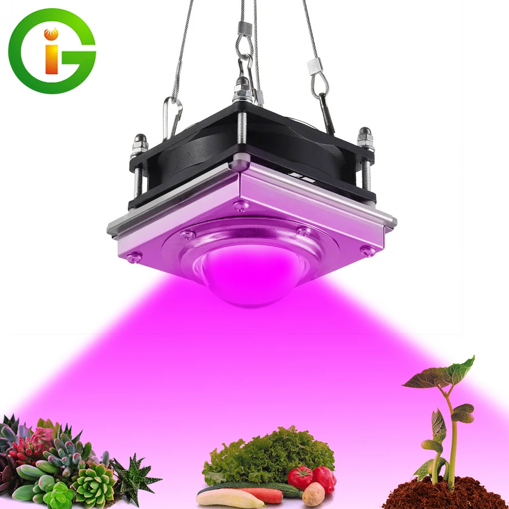 300W LED Grow Light Полный спектр высокой светоотдачей для внутреннего Открытый