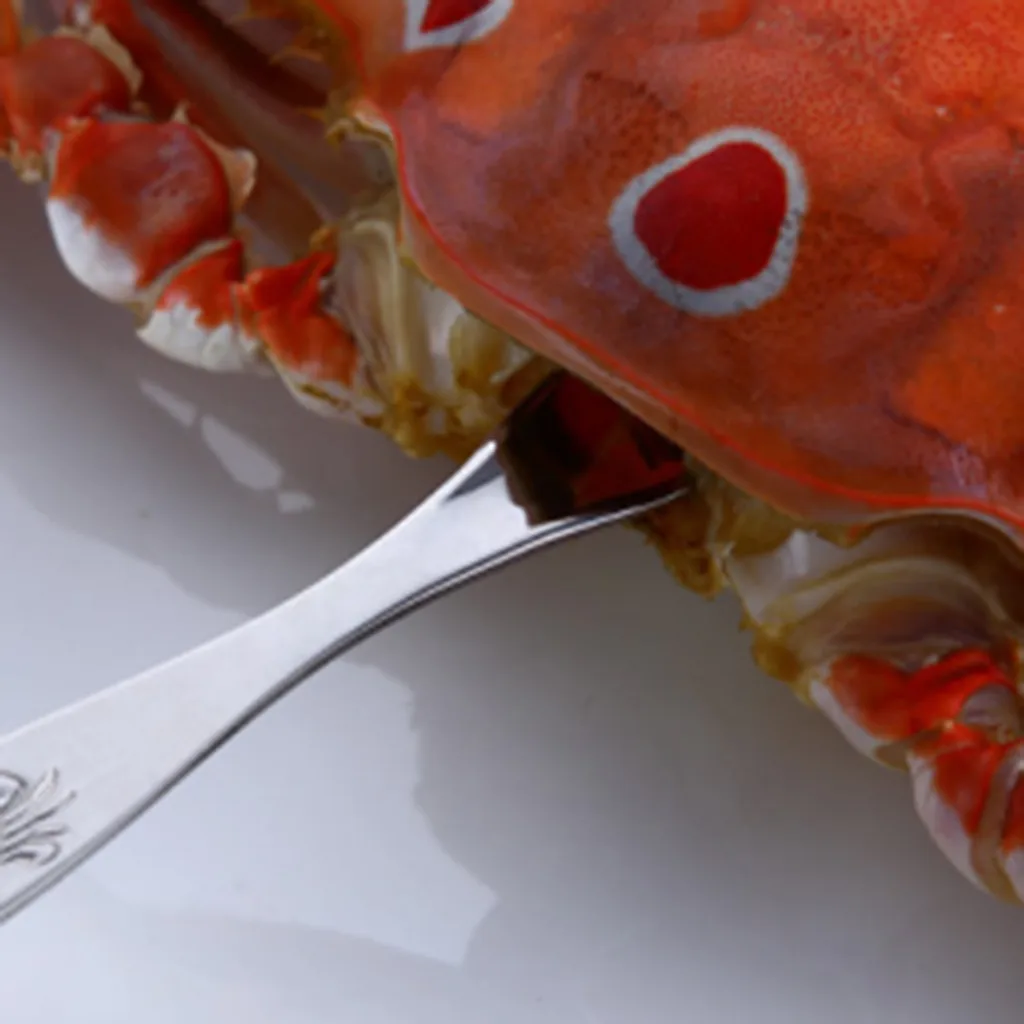 HSU новый инструмент для разделывания краба из нержавеющей стали многоцелевые