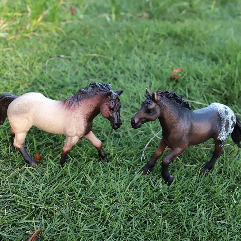 阿帕卢萨马+夸特公马