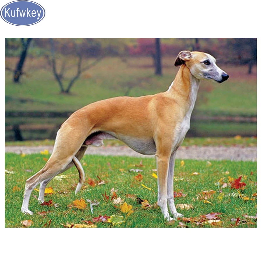 Алмазная живопись сделай сам 5d Белая собака алмазная вышивка с животными