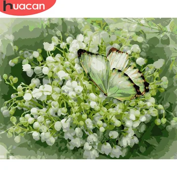 

HUACAN DIY Pictures By Number Kits Home Decor Painting By Numbers Butterfly Animal Drawing On Canvas HandPainted Art Gift
