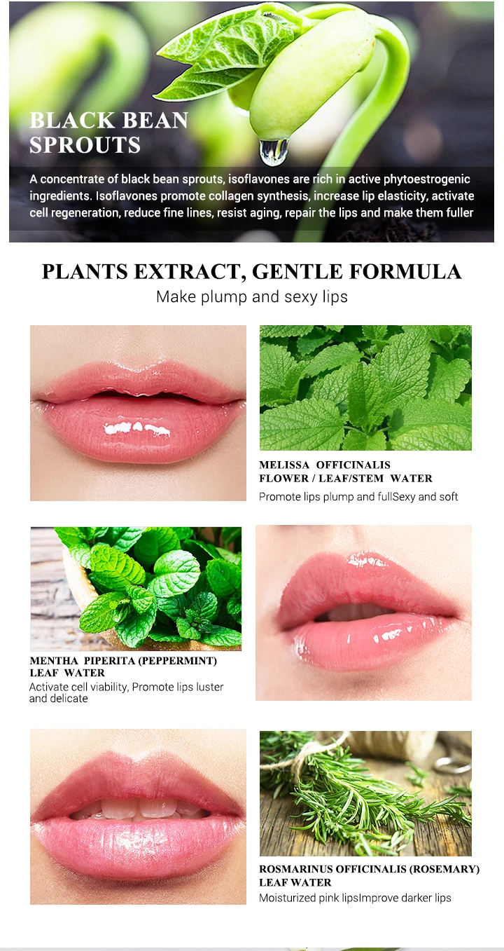 LANBENA Lip Plumper Serum Lip Mask Reduce Fine Lines Resist Pigment Increase Lip Elasticity Lip Gloss Moisturing Lipstick Makeup
